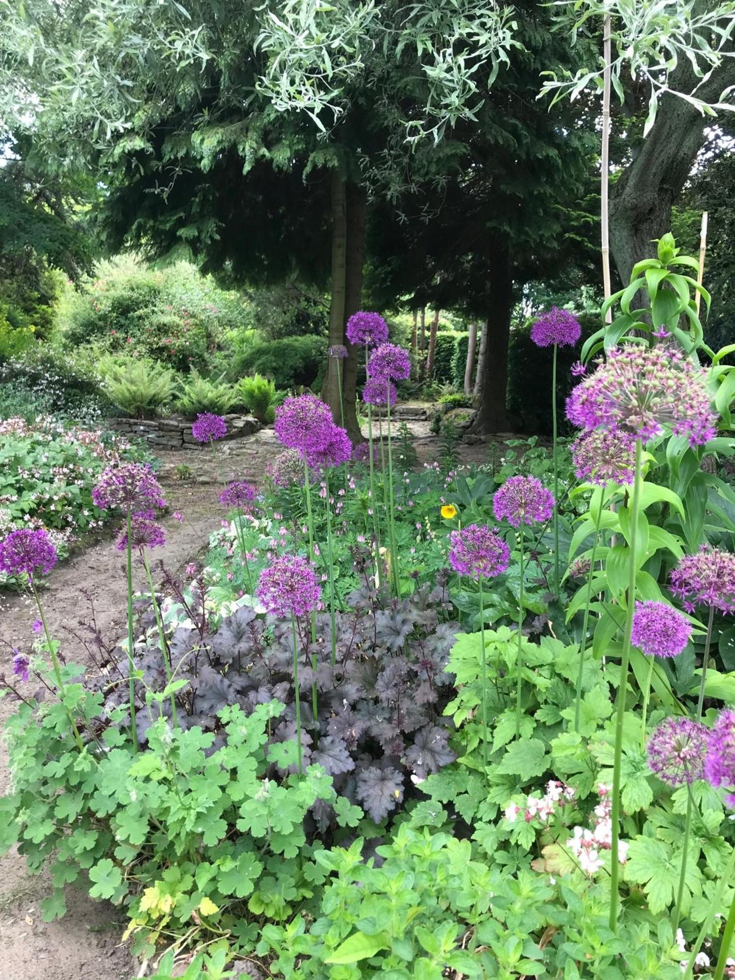 Phlomis Villa ยอร์ค ภายนอก รูปภาพ